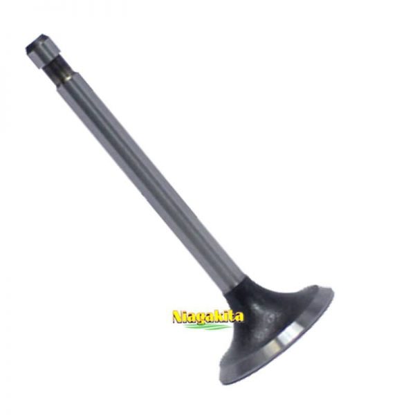 Valve Inlet RD 110 DI - 2T 2