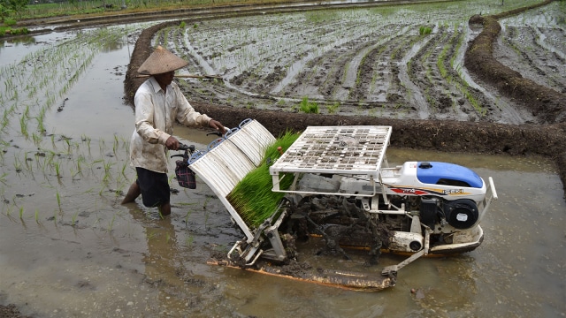 KUR 2019 Prioritas untuk Petani & Nelayan 19 KUR 2019 Prioritas untuk Petani & Nelayan 18