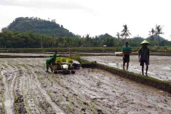 Produksi Pertanian Meningkat Dengan Modernisasi | Niagakita