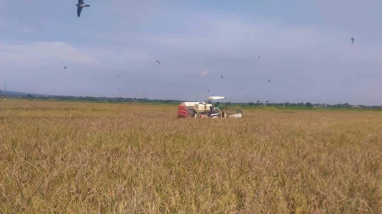 Pertanian Moderen Di Negara Agraris 62 1 Pertanian Moderen Di Negara Agraris 62 1