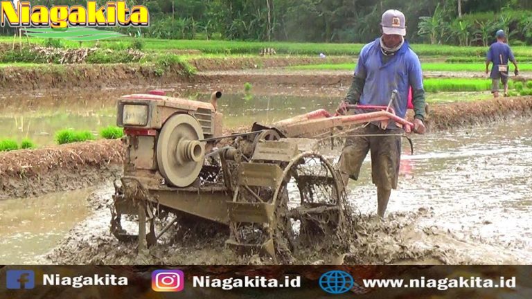 Mengenal Macam-Macam Jenis Traktor Dan Fungsinya | Niagakita