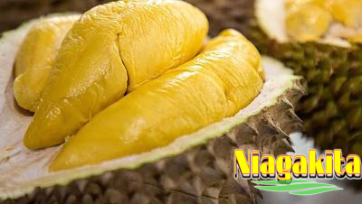 BUAH DURIAN 2020 1 BUAH DURIAN 2020 1