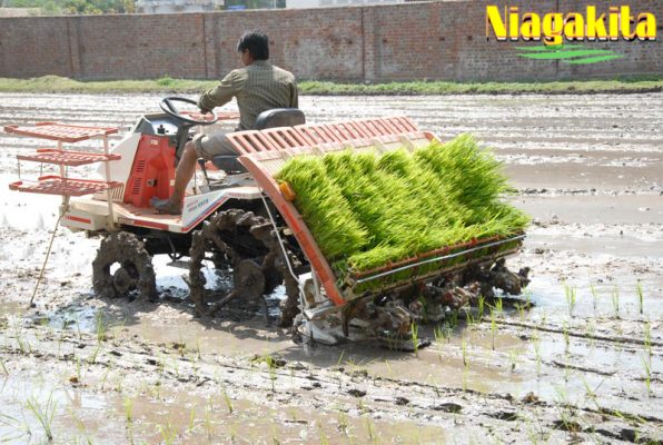 TRANSPLANTER MESIN PENANAM  PADI 3