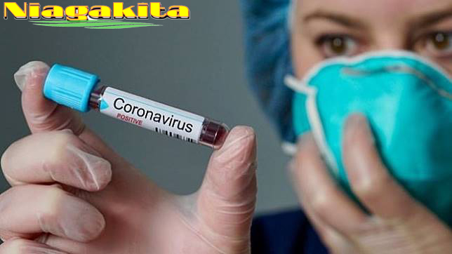 PENGERTIAN COVID-19/VIRUS CORONA 19