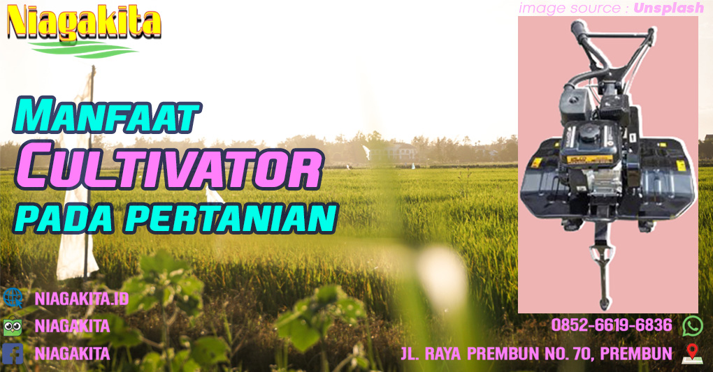 Manfaat Cultivator dalam Pertanian 19 Cultivator
