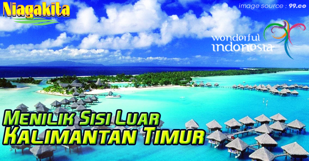 Tempat Terbaik di Kepulauan Derawan, Kalimantan Timur 1 Indahnya Kepulauan Derawan