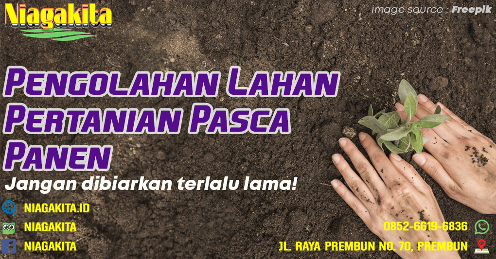 Habis Panen, Lahan Jangan Dibiarkan! Ini Tips Mengolahnya 13 Panen