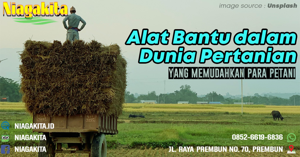 Alat Pertanian yang Sering Digunakan dalam Dunia Pertanian 17 Alat Pertanian