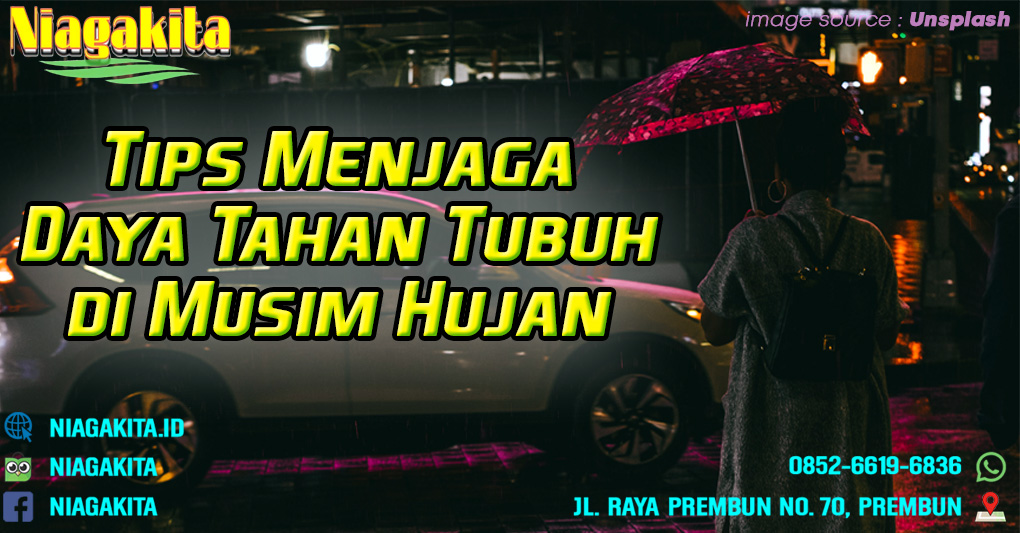 Tips Menjaga Daya Tahan Tubuh di Musim Hujan 16 Musim Hujan di Indonesia
