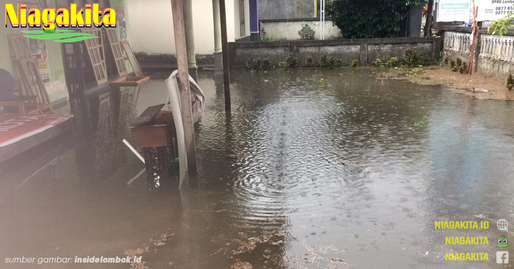 Tips Mencegah DBD di Musim Hujan 16 Musim