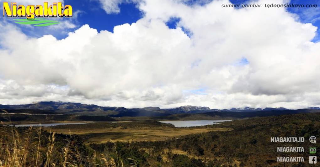 Habema, Danau Tertinggi Indonesia di Tanah Papua 14 Danau Habema, Papua.