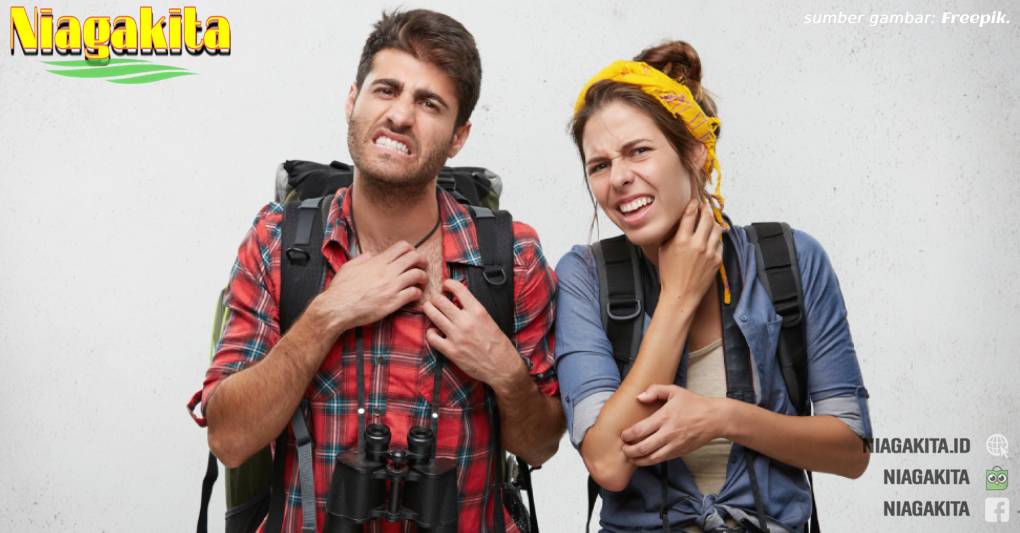 Sering Gatal-Gatal? Begini 4 Cara Mengatasinya 12 gatal.