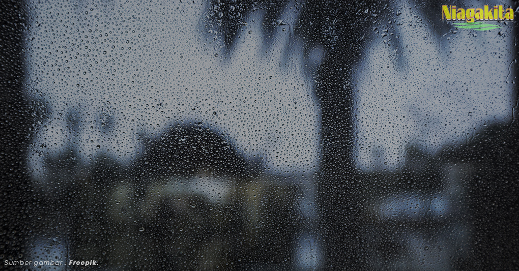 Suka Kesel Kehujanan? Coba Baca 3 Fakta Hujan yang Menarik ini 10 fakta hujan